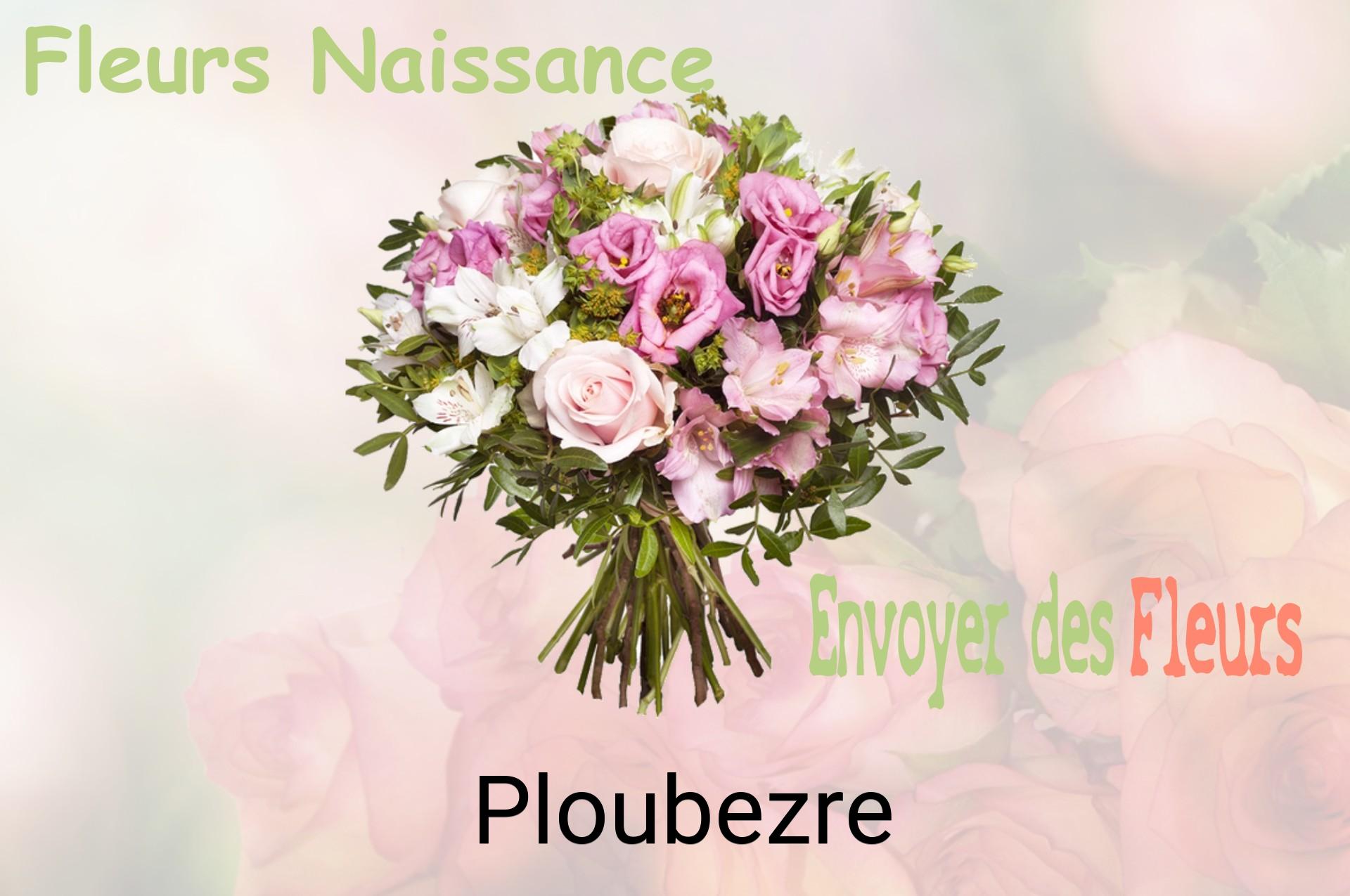 Bouquet de fleurs de naissance livré à Ploubezre